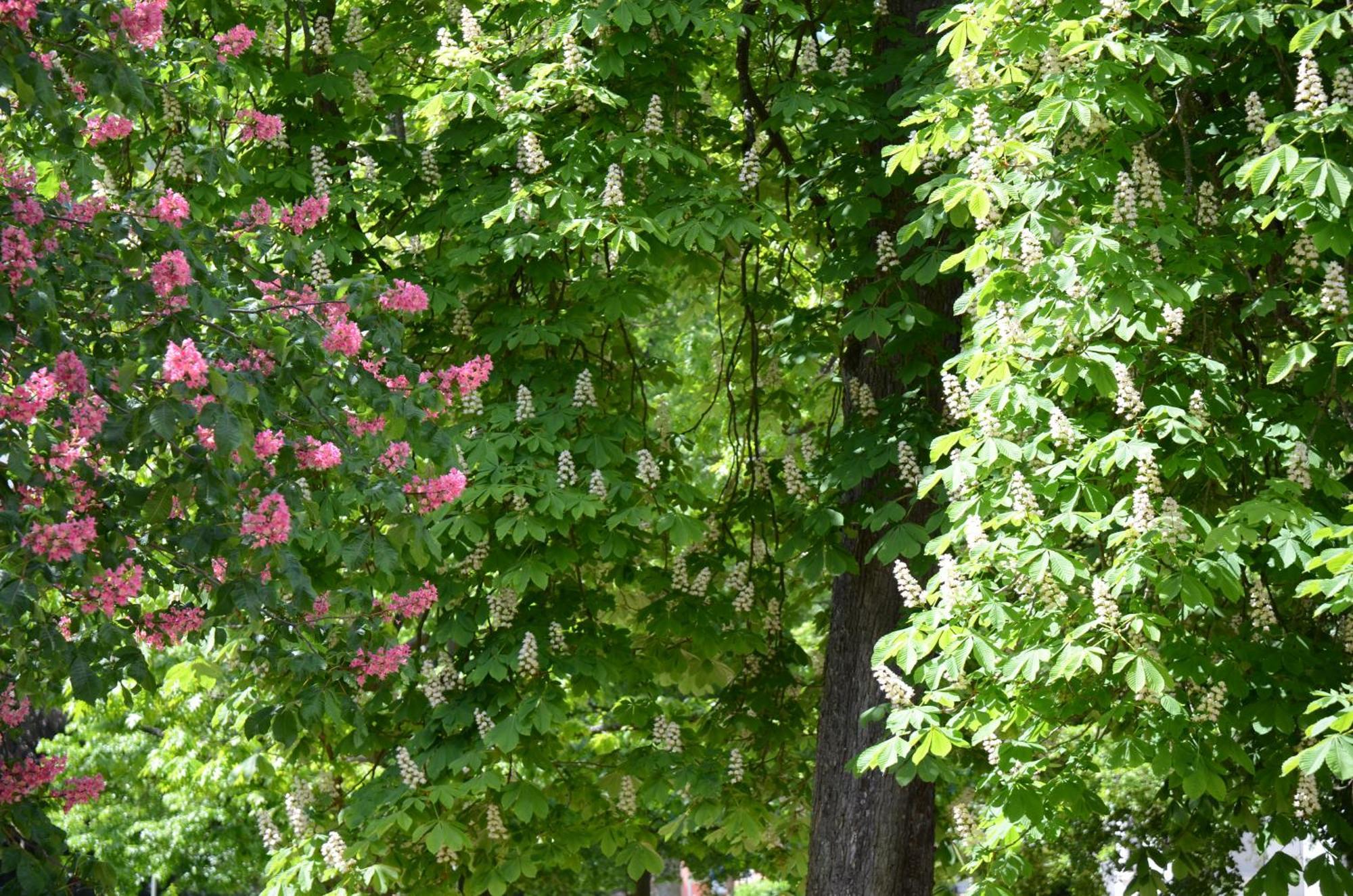 Am Oranienpark Im Kurviertel *